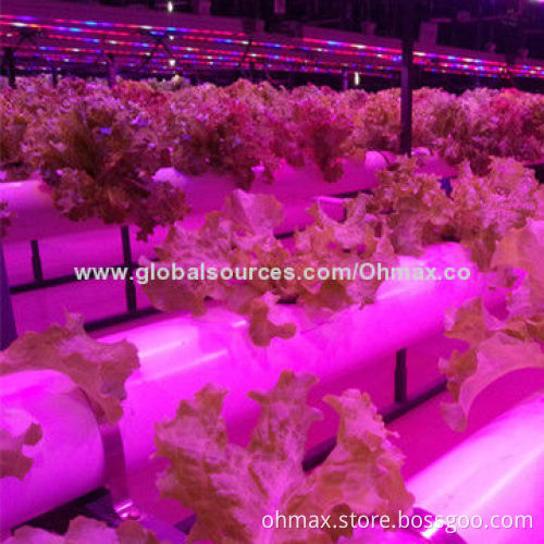 Waterproof LED planting light, for indoor garden, greenhouse, hydroponics, aeroponics/nursery plants